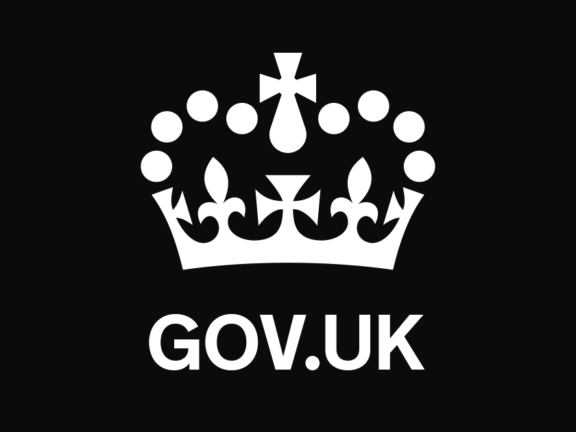 Lateral Flow Test Gov / New Covid 19 Testing Sites Open For Hillingdon Residents Hillingdon Council : The following groups in care homes should be tested using lateral flow devices care home staff twice weekly alongside pcr testing (enhanced testing) (from 4 january).