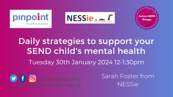 Daily strategies to support your SEND childs mental health. Tuesday 30th January 12-1.30pm. Pinpoint Cambridgeshire. NESSie Logo. Pinpoint Logo. NESSie Logo. Pinpoint website