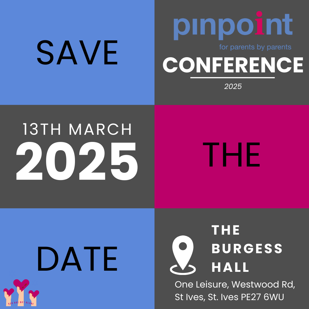 Save the date - Pinpoint's annual conference! - Pinpoint